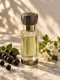 Seville by MAISON D'OUD